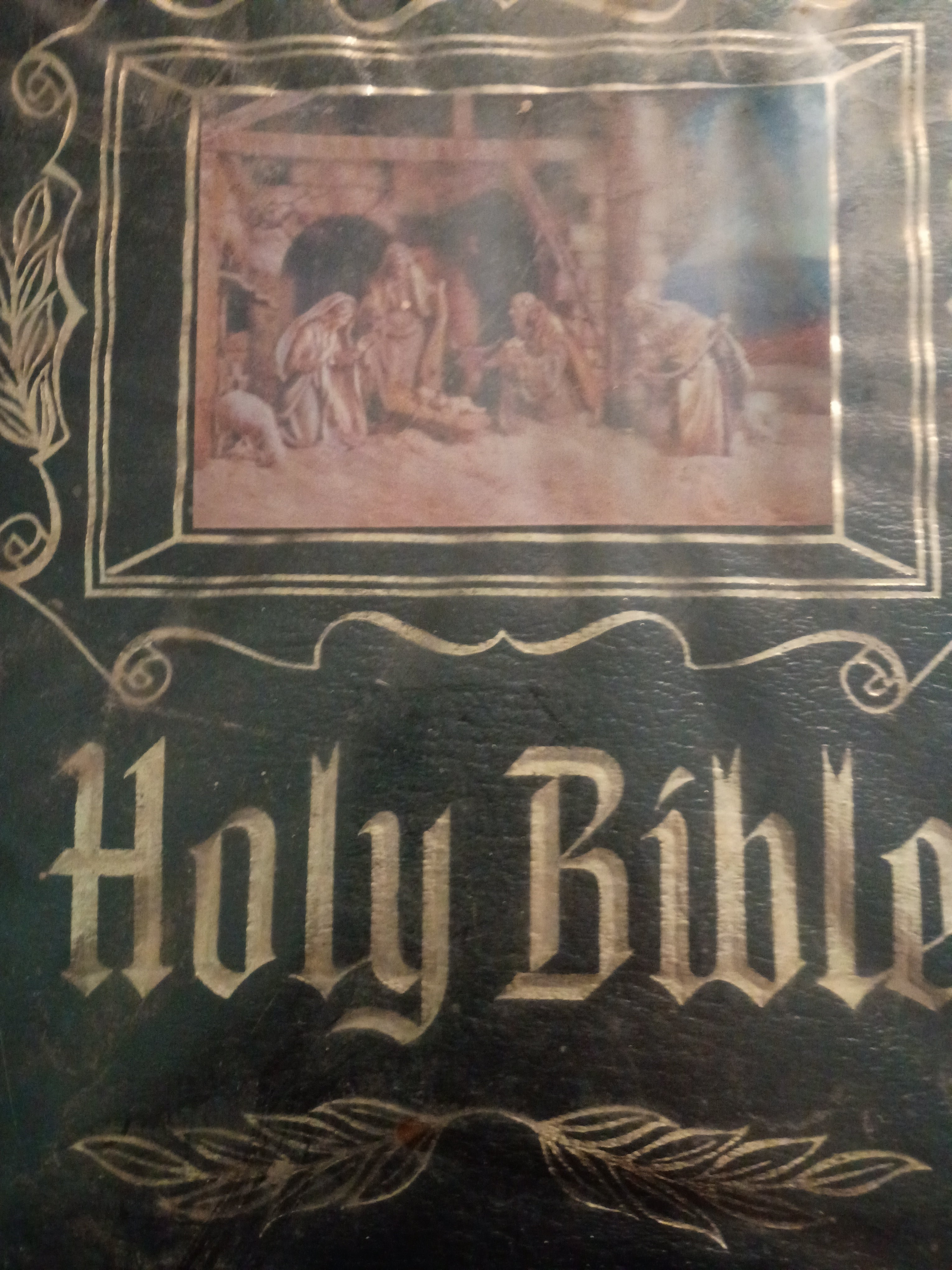 BIBLES