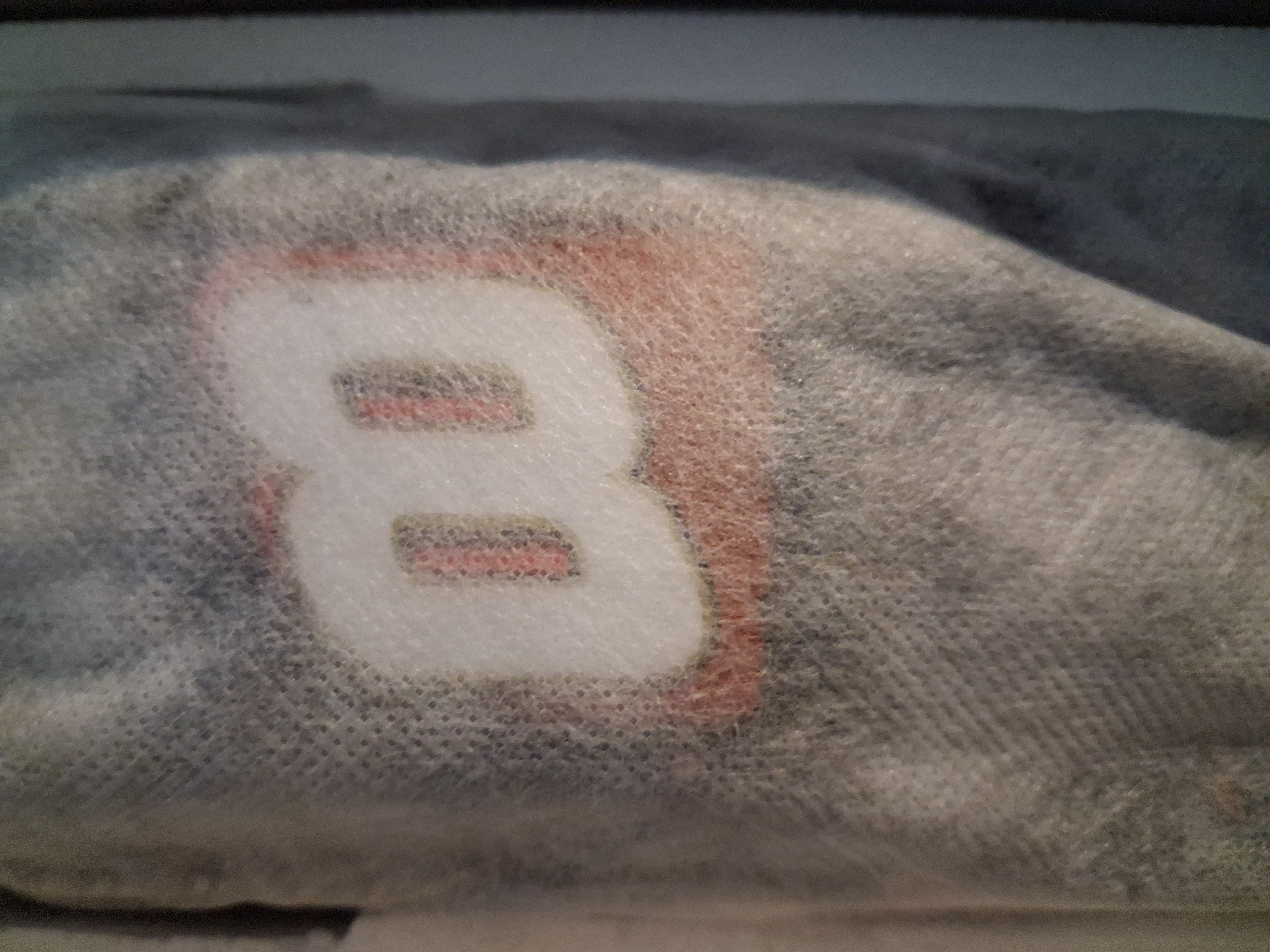 1/24 Scale NASCAR Diecast Cars – Dale Earnhardt Sr, Jr & More