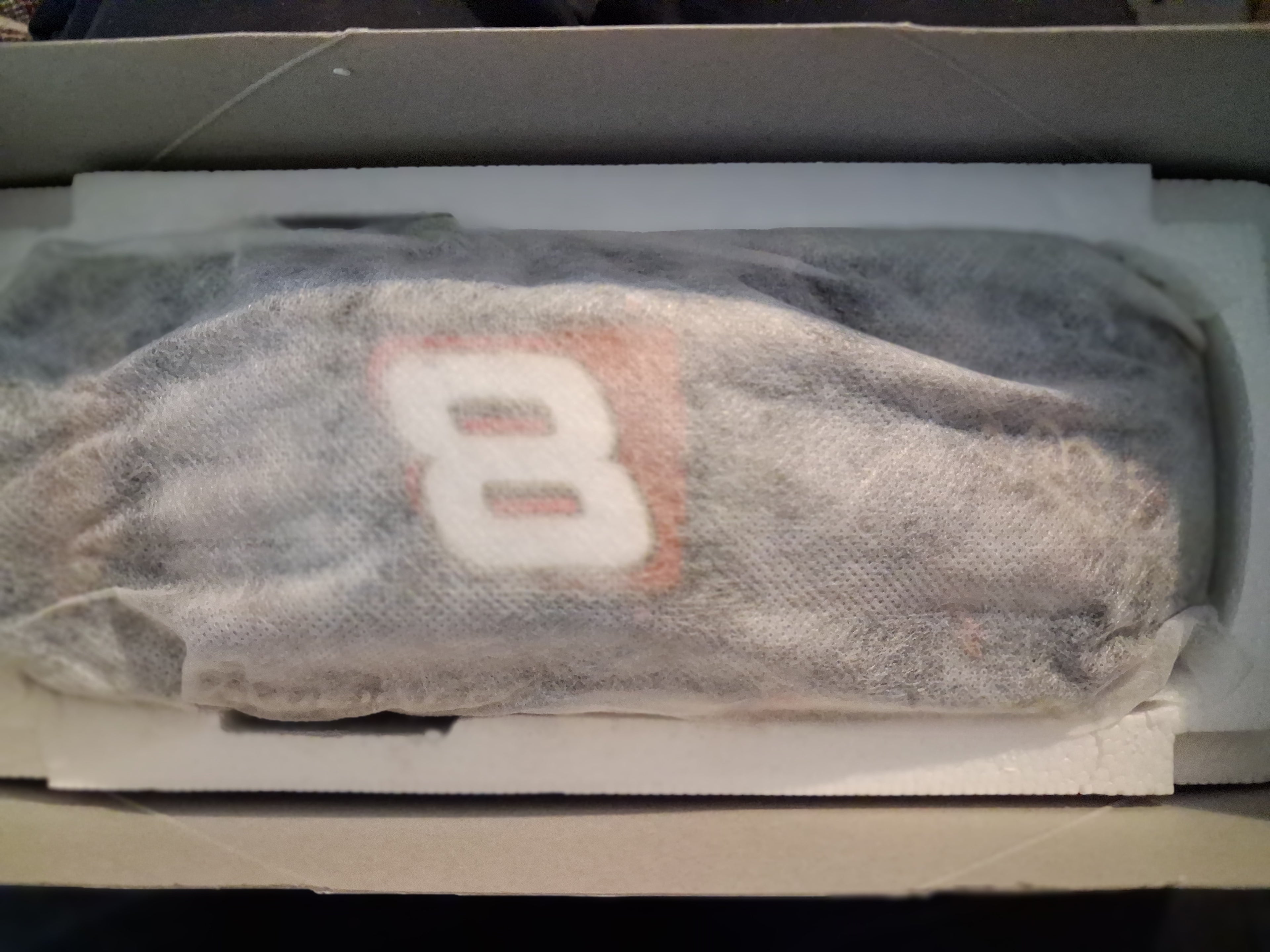 1/24 Scale NASCAR Diecast Cars – Dale Earnhardt Sr, Jr & More